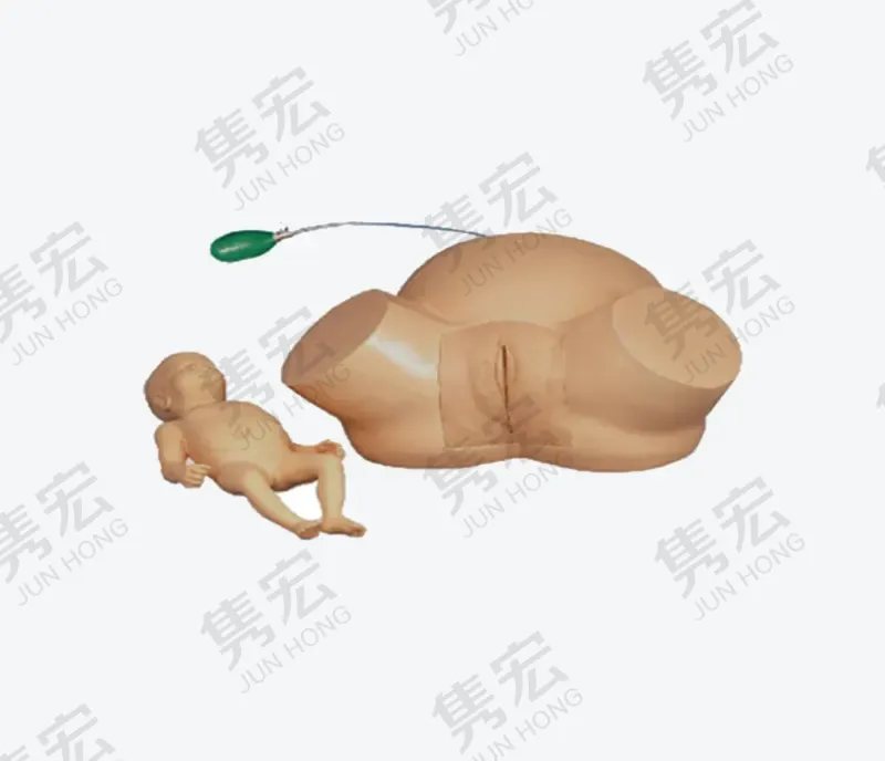 难产模型