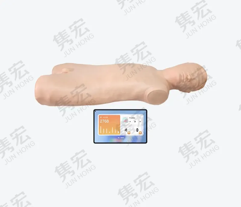 高级骨髓穿刺训练系统