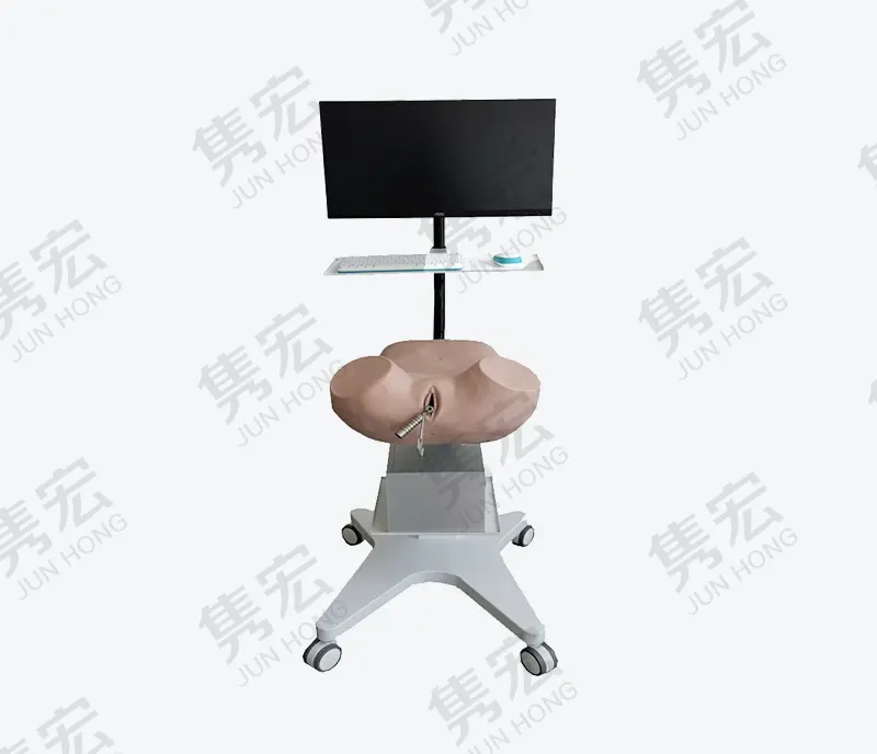 宫腔镜模拟训练系统