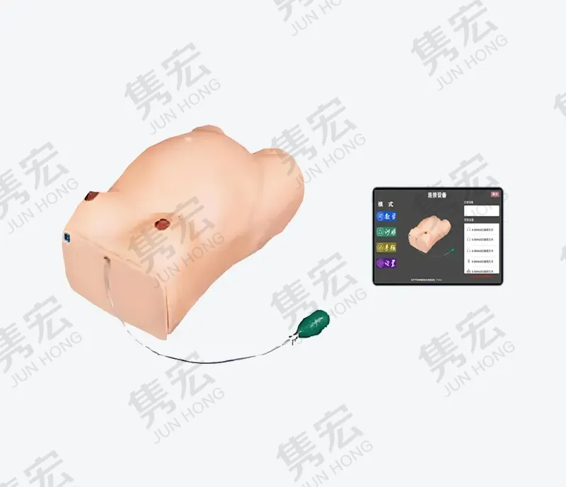 四步触诊训练考核系统