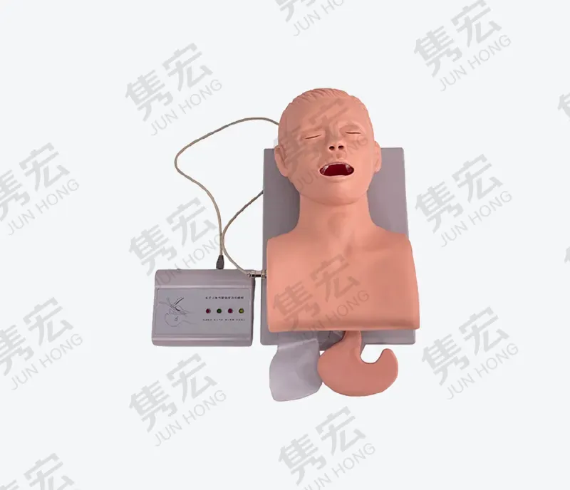 电子人体气管插管训练模型