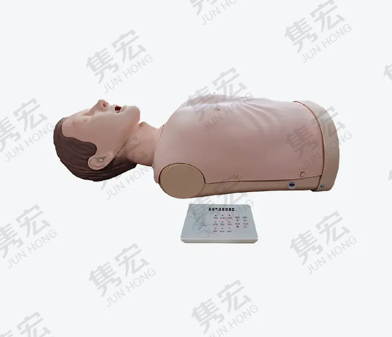 气道管理模型