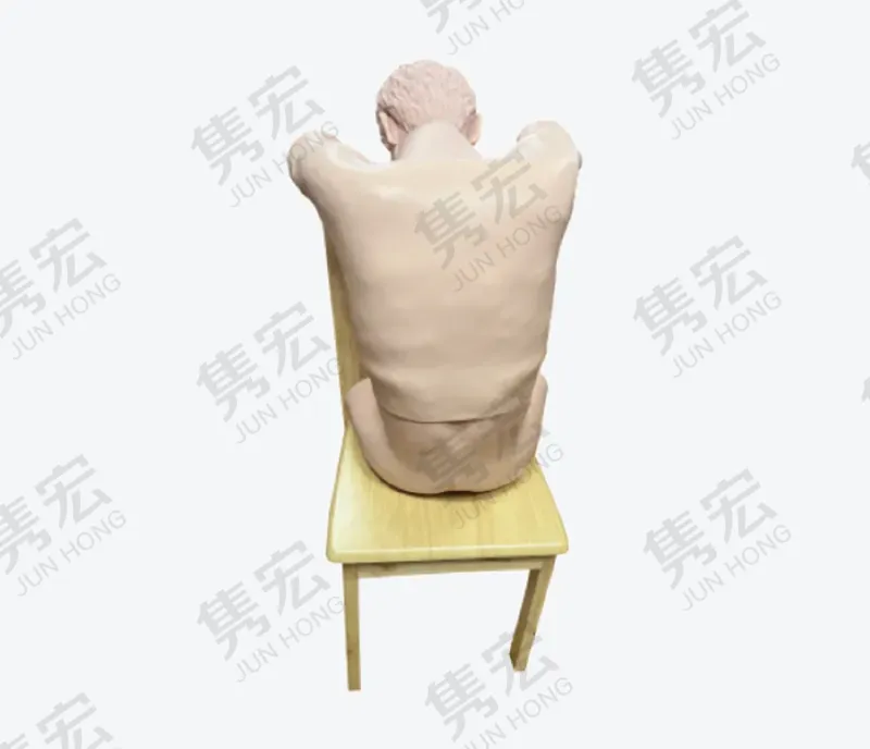 胸腰穿刺训练模型