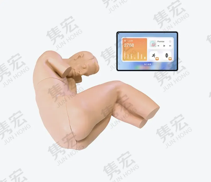 高级腰椎穿刺训练系统