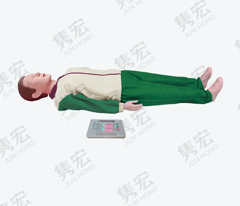 触摸式电子全身心肺复苏模型( 新版)