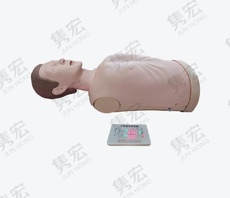 触摸式电子半身心肺复苏模型