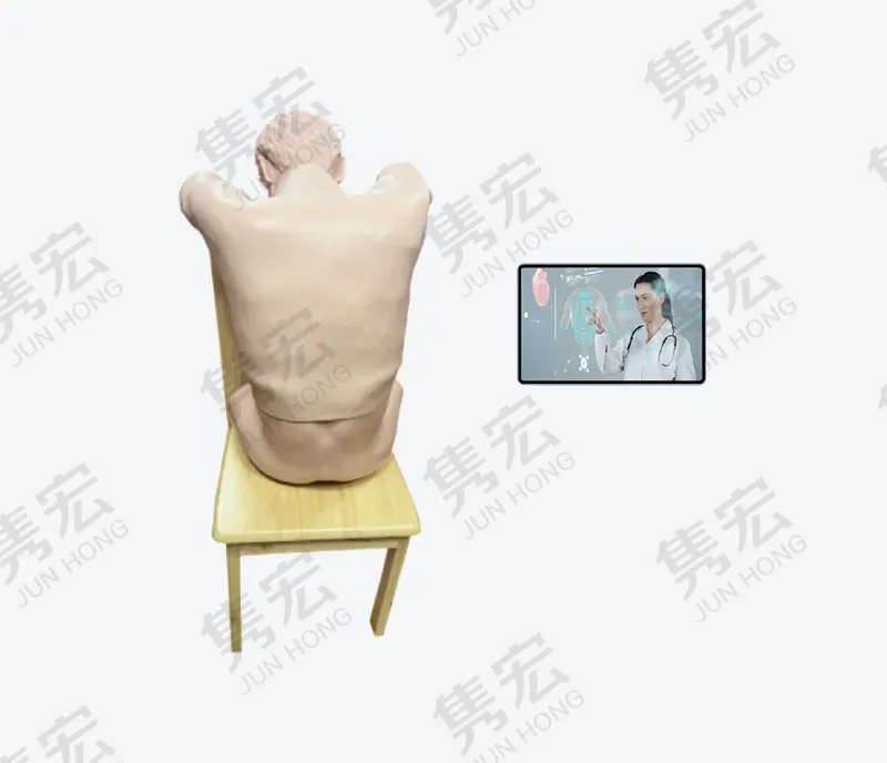 高级胸腔穿刺训练系统