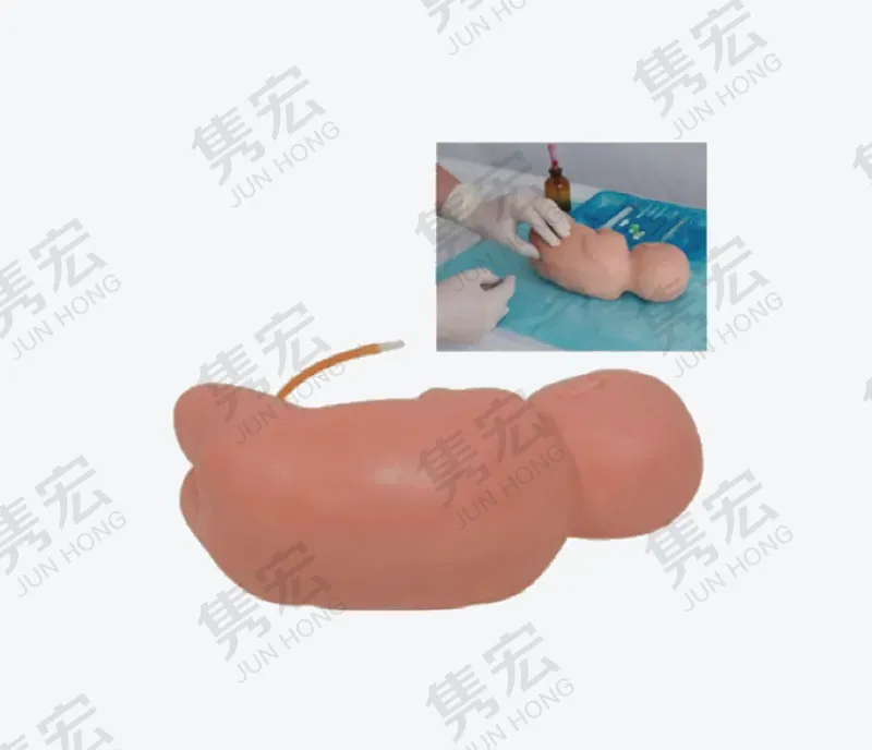 新生儿腰椎穿刺模型