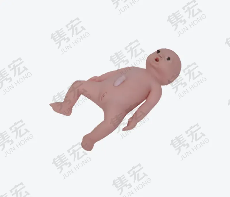 高级婴儿护理模型