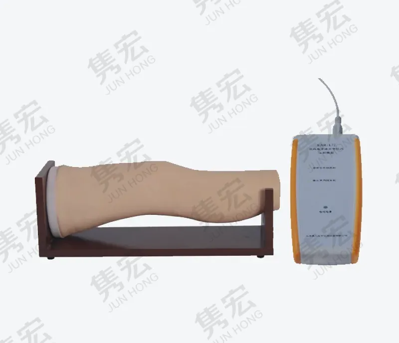 膝关节腔内注射模型