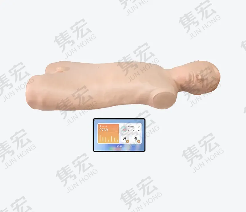高级腹腔穿刺训练系统