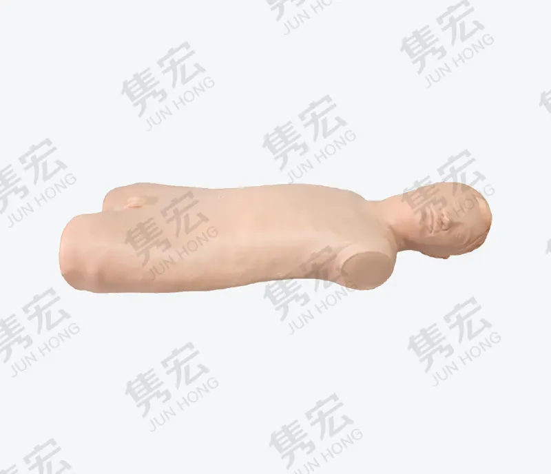 腹腔穿刺模型