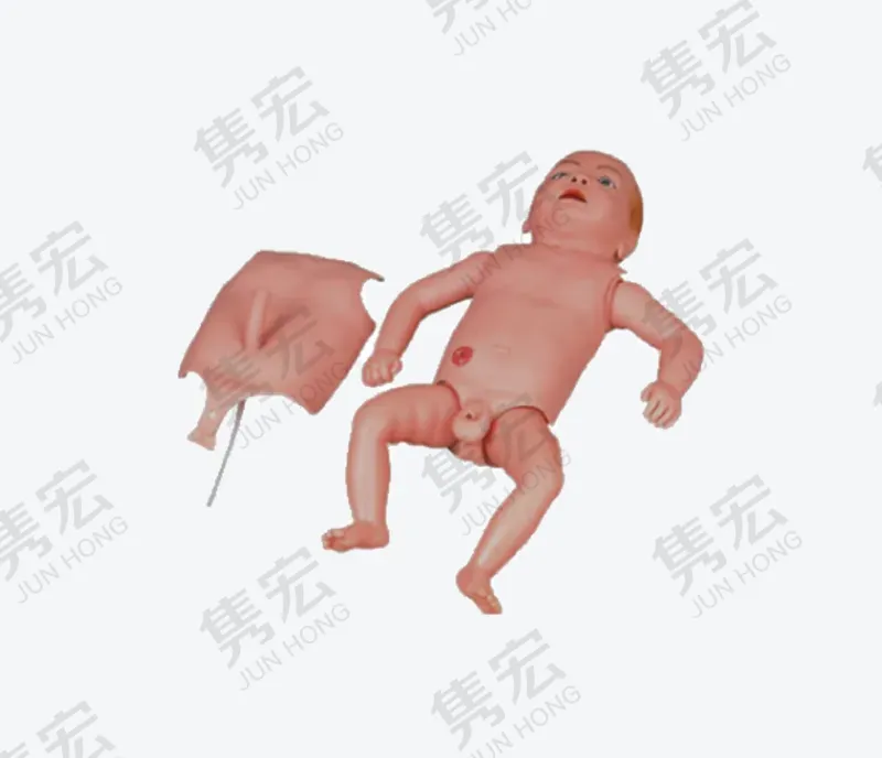 高级婴儿全身护理模型