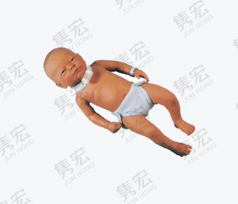 婴儿气管切开护理模型