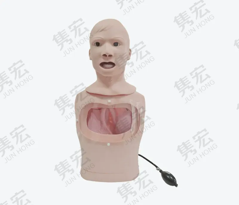 三腔二囊管止血训练模型