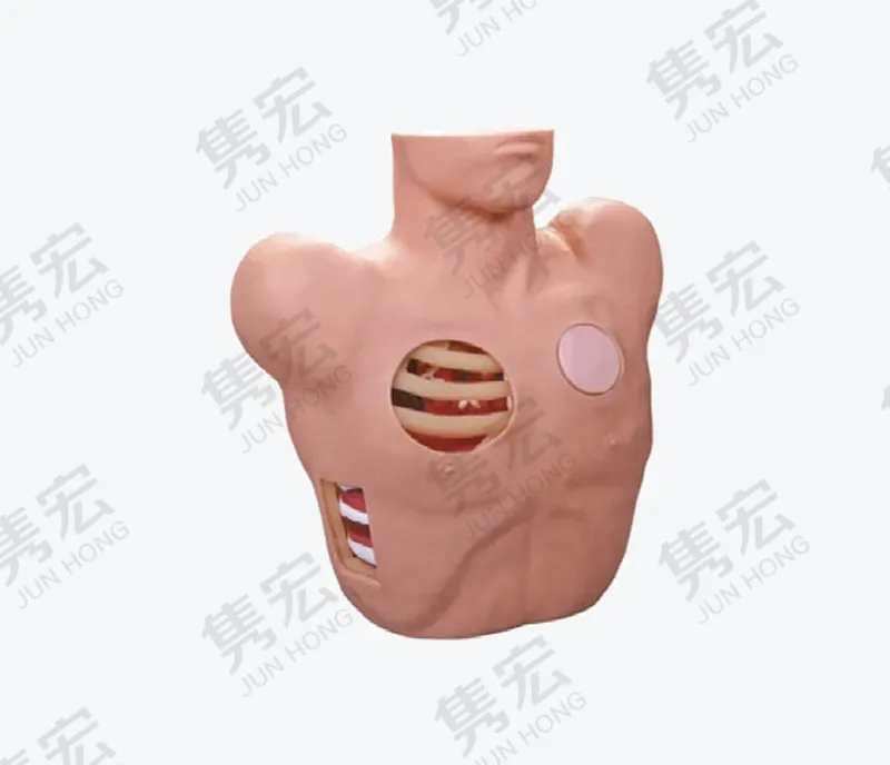 示教式胸腔穿刺操作模型