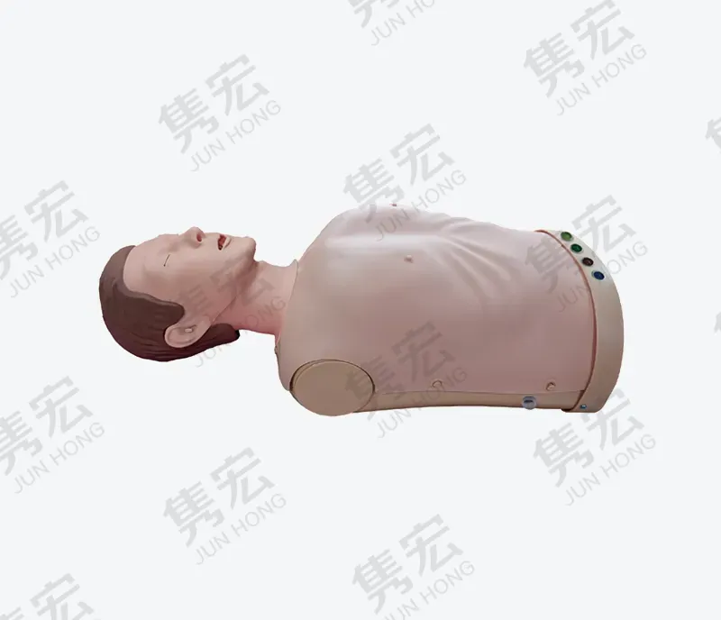 半身电子心肺复苏模型