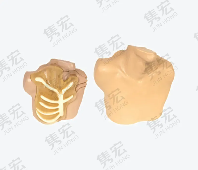 中心静脉穿刺插管模型