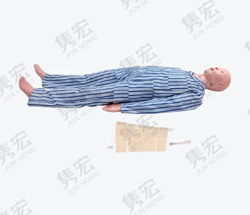 骨折搬运操作模型