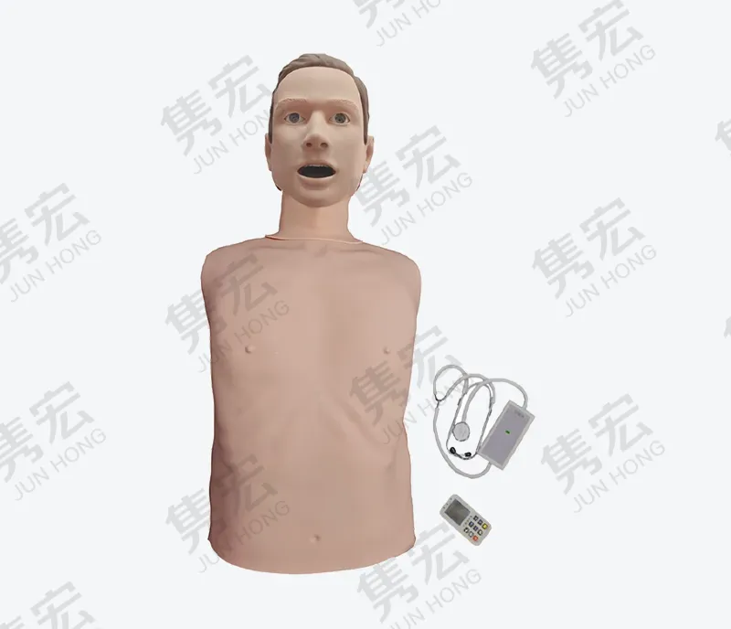 心肺音听诊模型