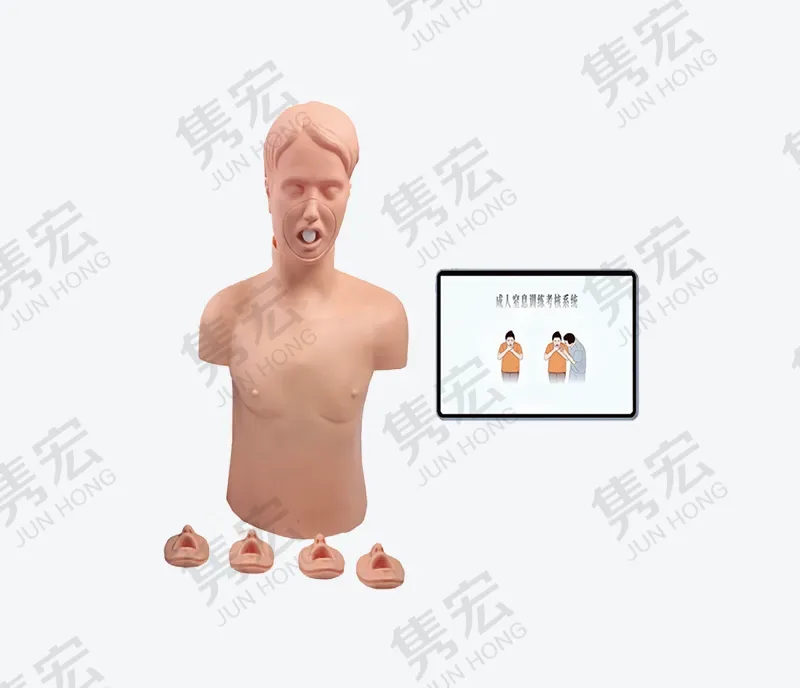 成人窒息训练考核系统