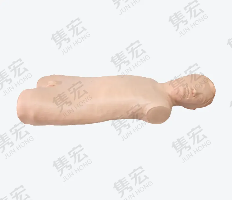 骨髓穿刺模型