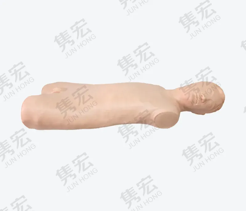 高级无菌操作模型