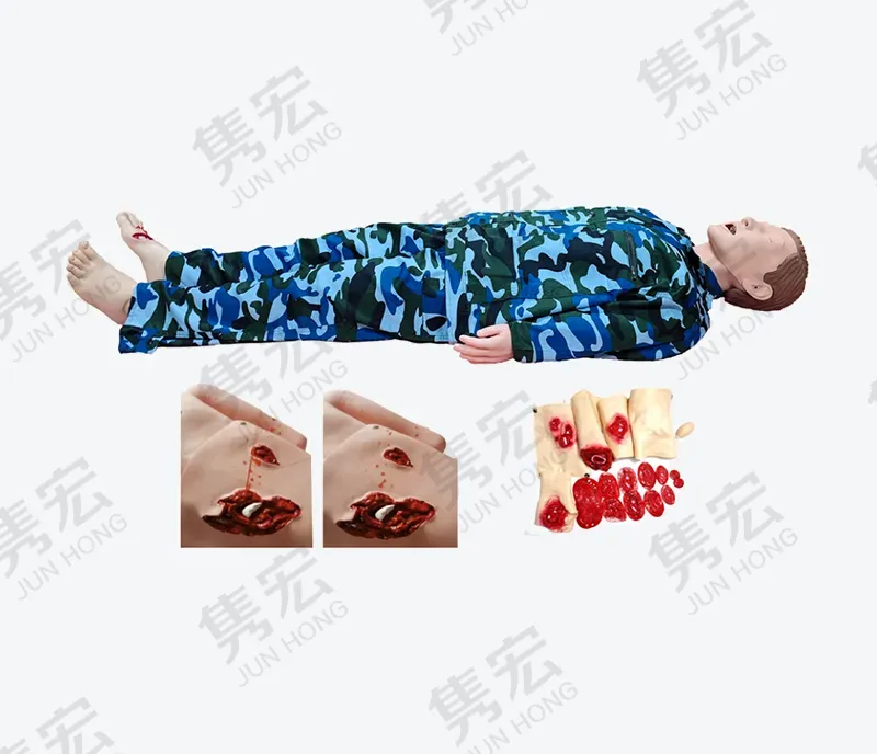 全身止血模型