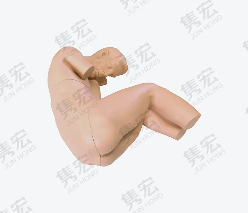 腰椎穿刺模型