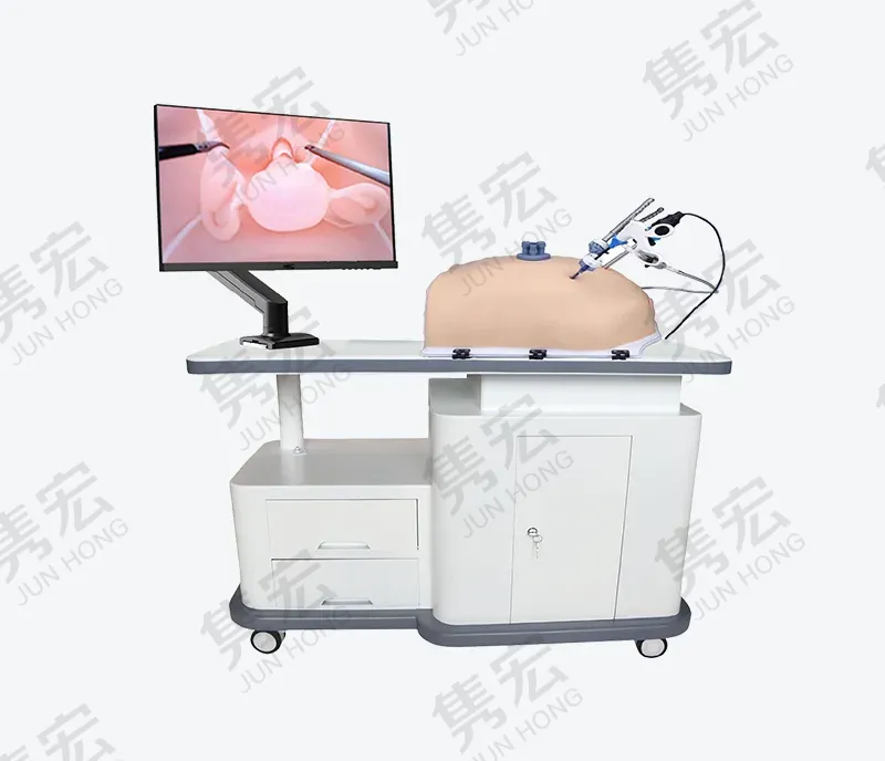 高级妇科腹腔镜训练系统
