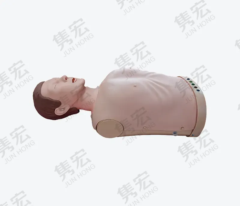半身电子心肺复苏模型（新版Ⅱ）