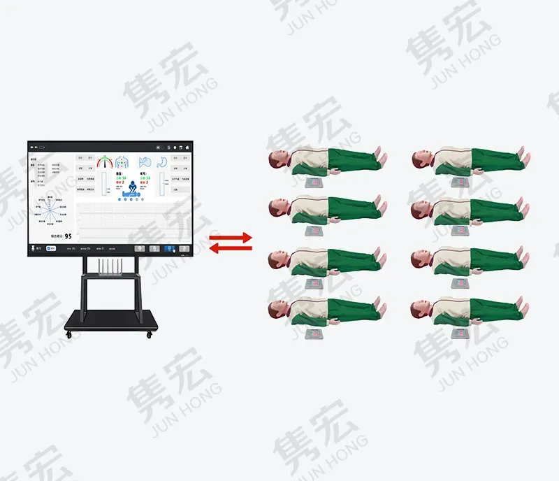 网络版高级心肺复苏训练考核系统( 半身/ 全身)