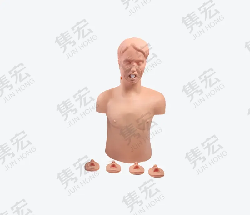 成人气道梗塞及CPR 模型