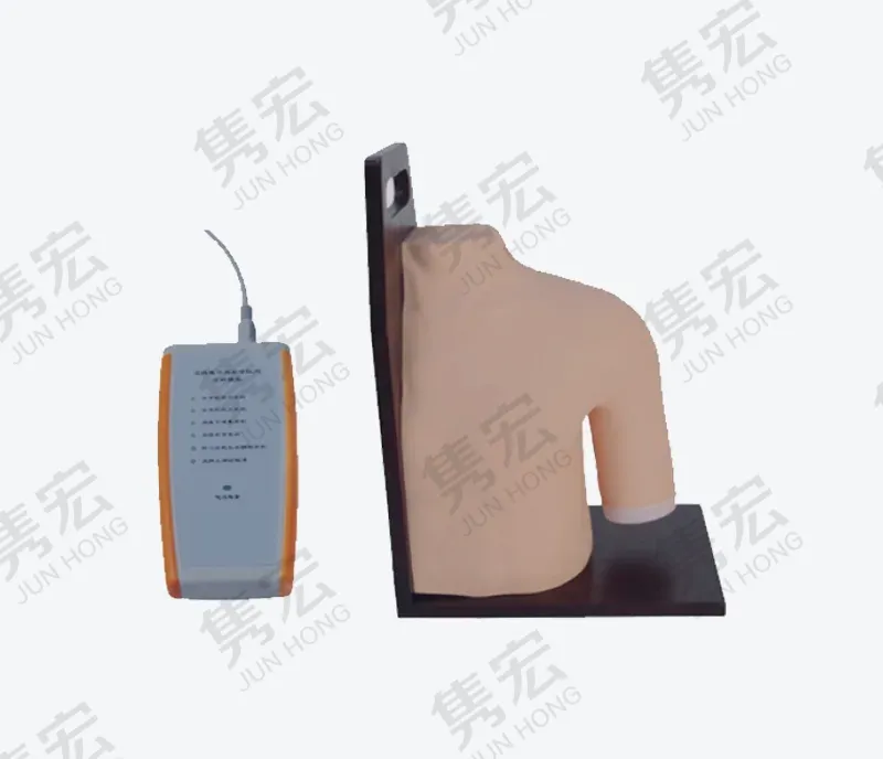 肩关节腔内注射模型