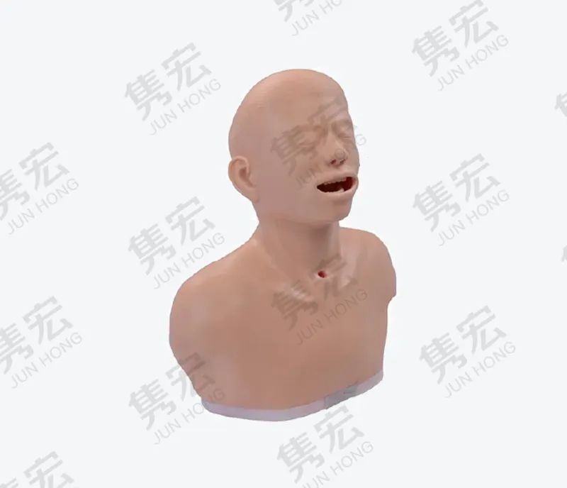 甲状腺检查模型