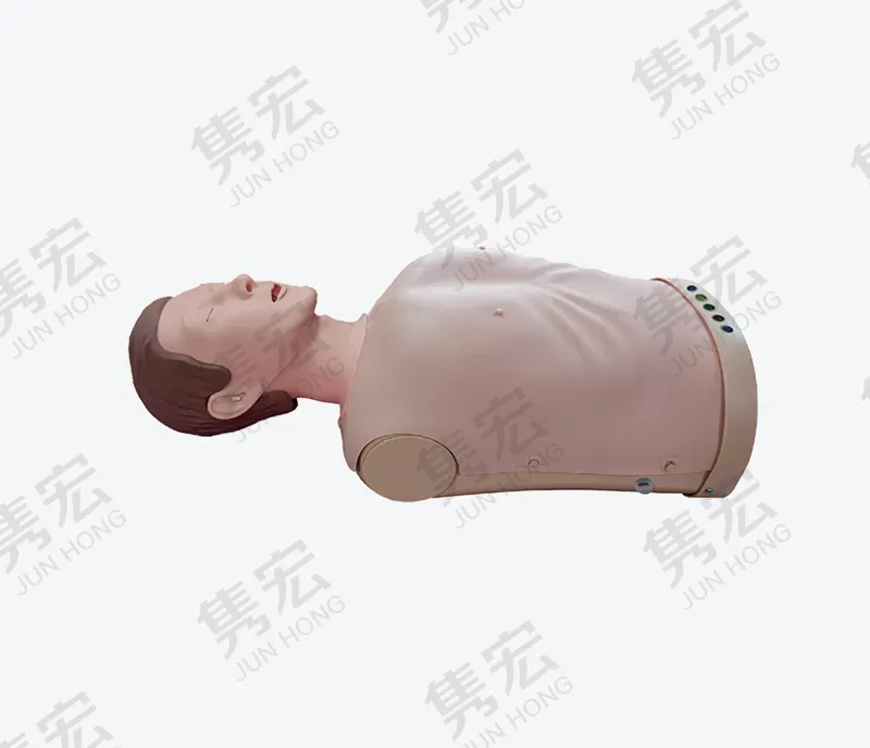 半身电子心肺复苏模型（新版Ⅰ）