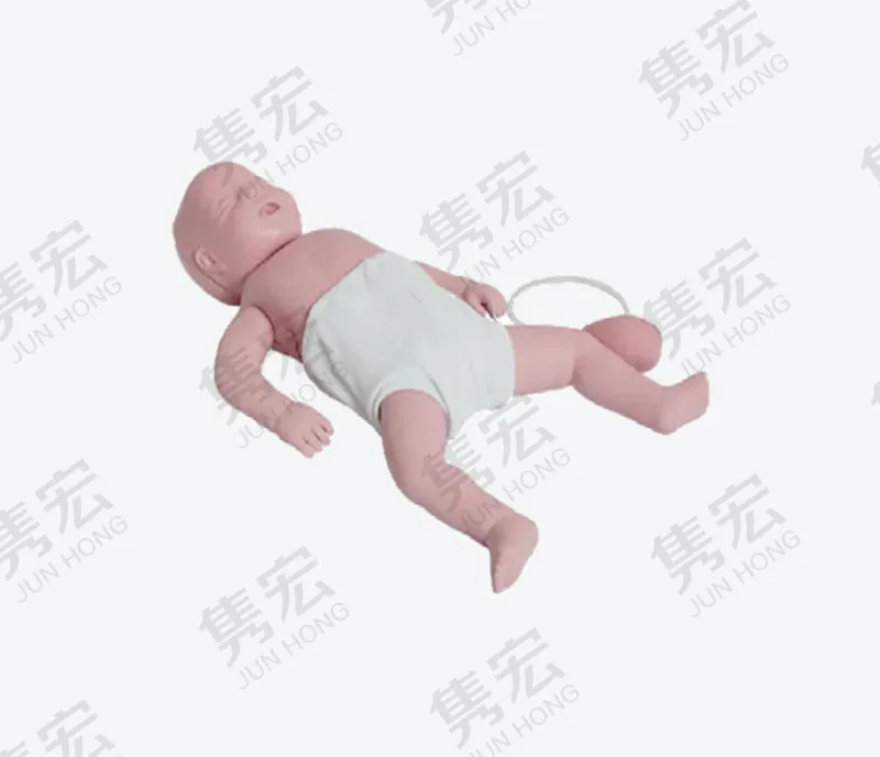 婴儿心肺复苏模型