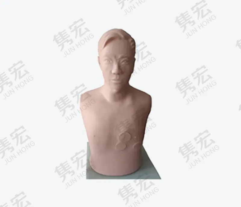 心包穿刺与心内注射训练模型