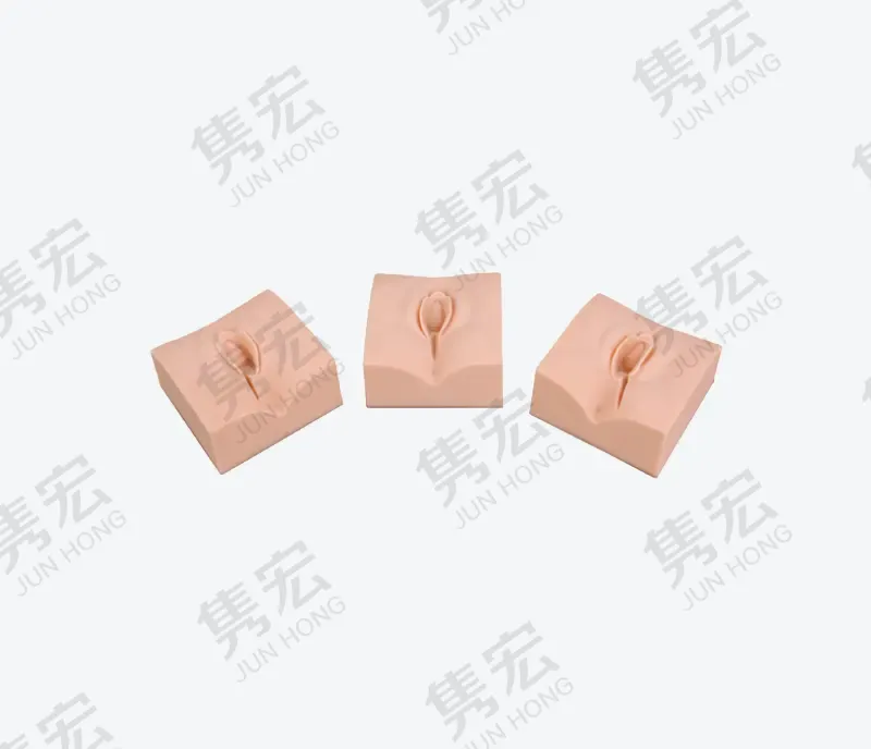高级会阴切开缝合操作模块