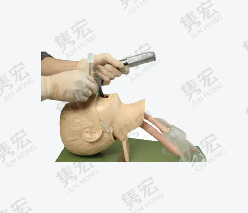 儿童气管插管模型