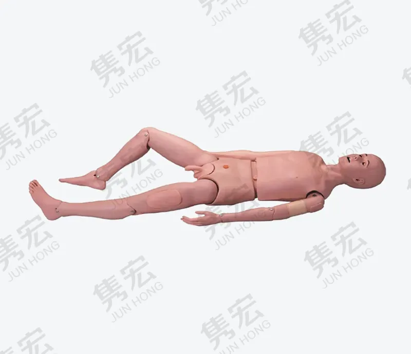 三腔两囊管操作模拟人