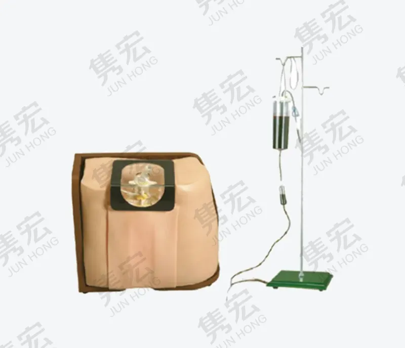 腰椎穿刺操作模型