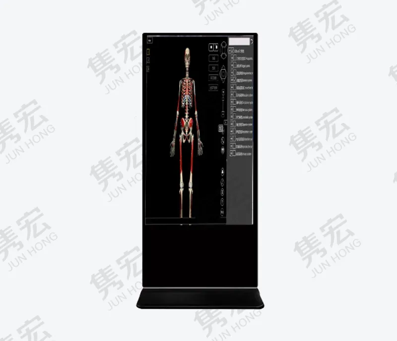 三维解剖触控教学平台