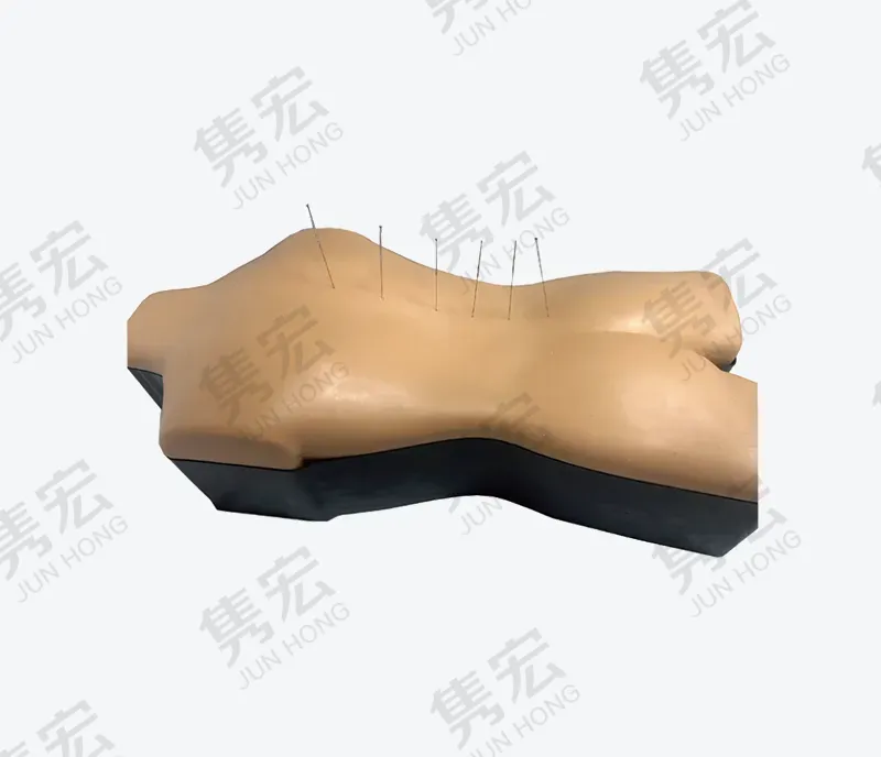 背部仿真针刺练习平台