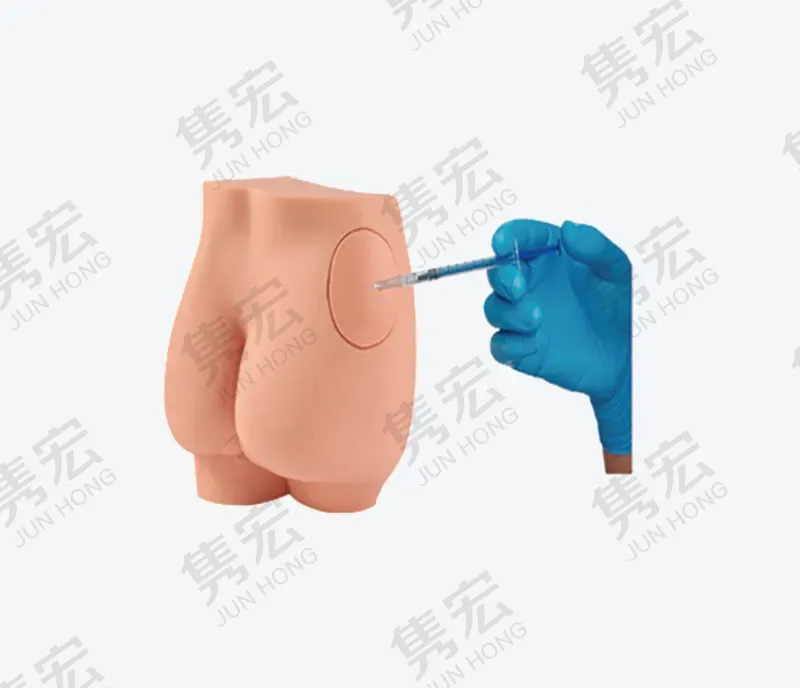 臀部注射模型